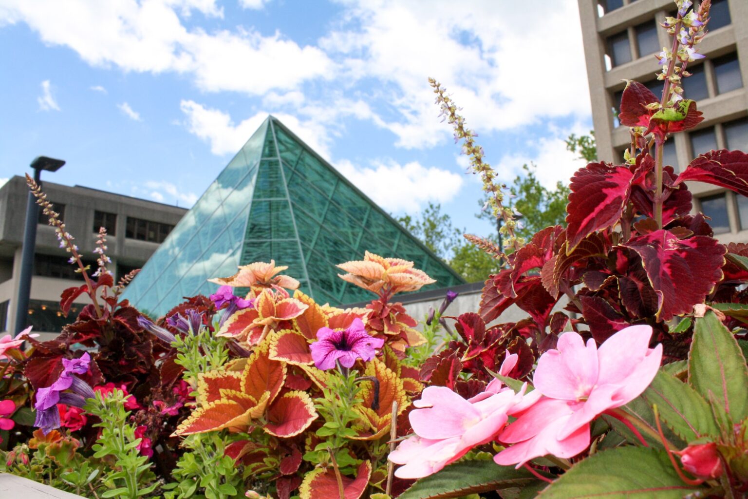 Atrium on campus with flowers