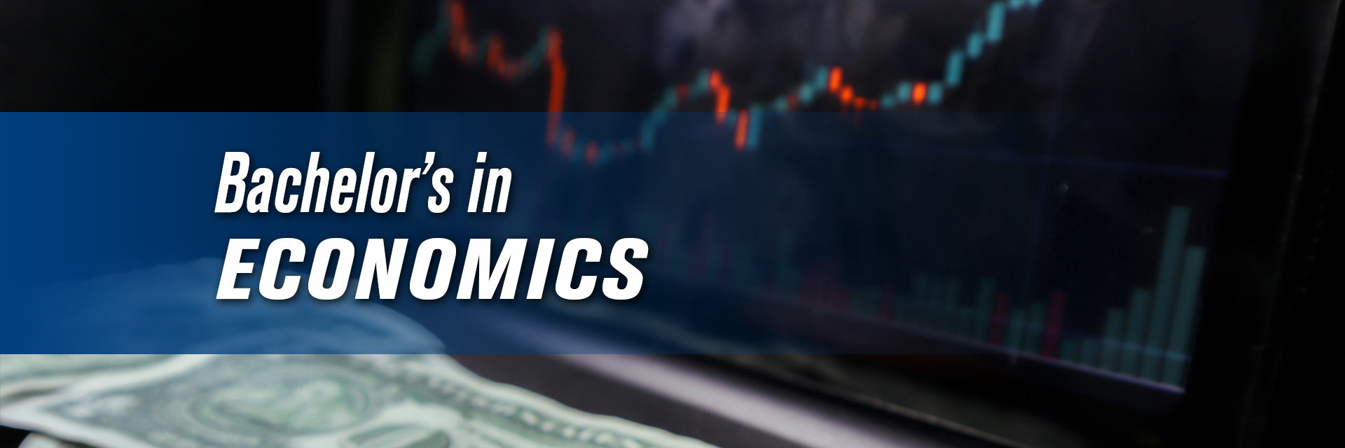Bachelors in Economics