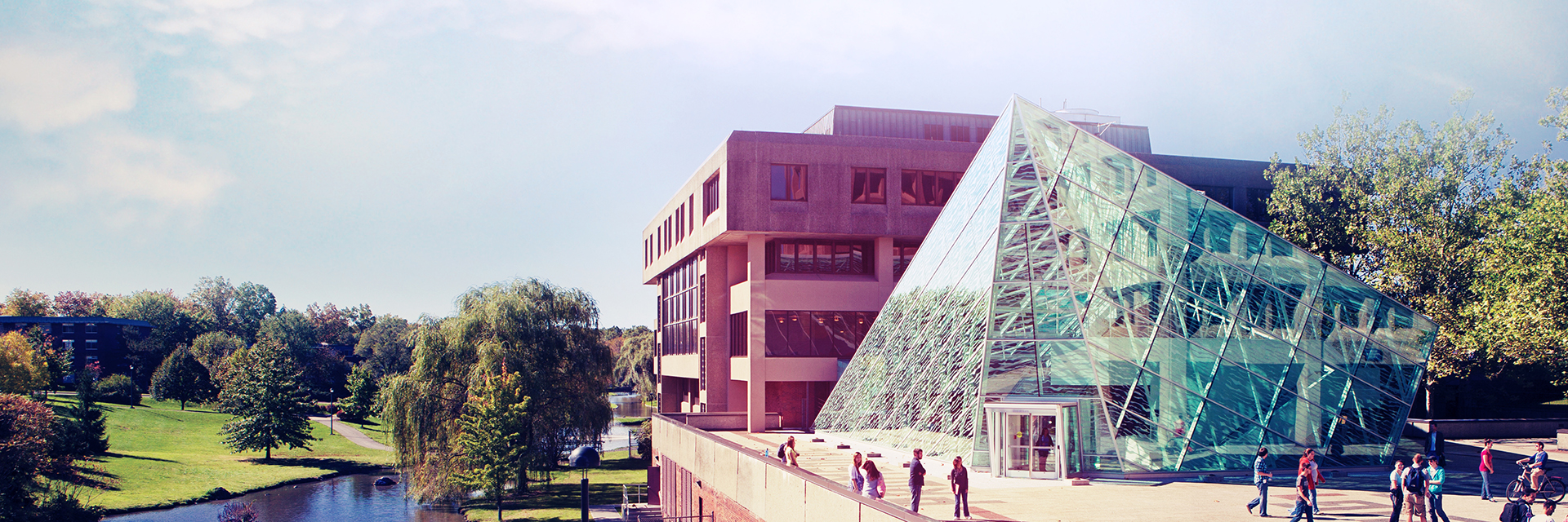 Thesis bar new paltz image