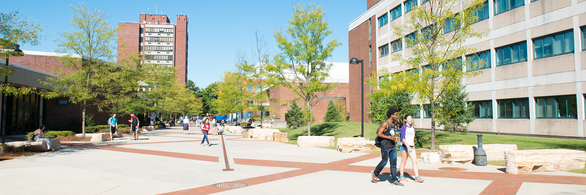 Students on campus in the summer