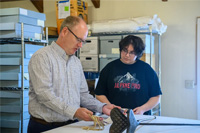 Uncovering material history